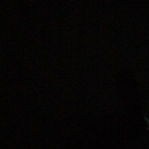 Meet your Posher, Heidi